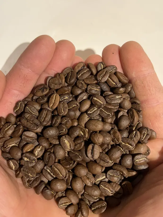 Feinkost Kaisen - Zwei zusammengeführte Hände, gefüllt mit gerösteten Arabica Bohnen